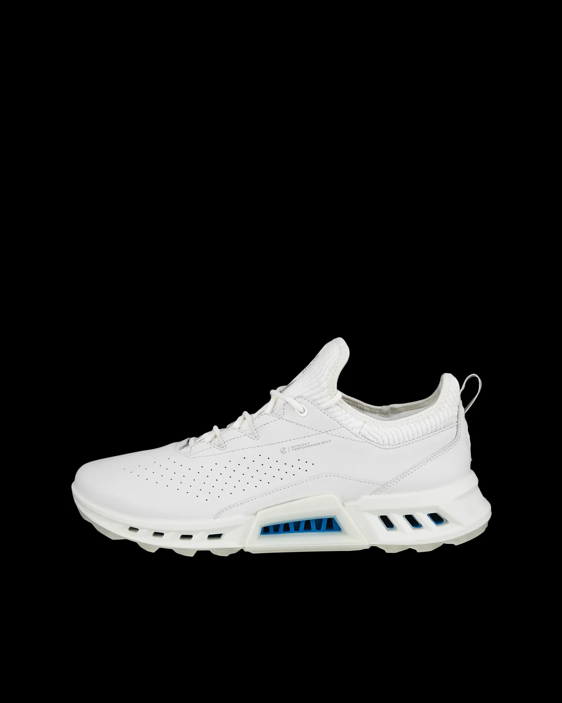 ECCO Gore-Tex | Golf* M GOLF BIOM C4